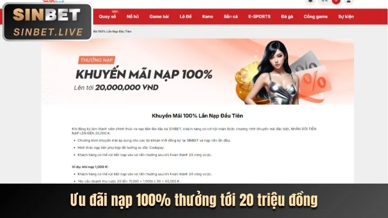 Đặc Quyền VIP 8win55 Casino
